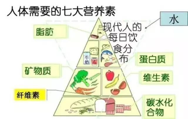 花費3萬塊找營養(yǎng)師咨詢減肥，梳理出的精華內容都在這里！減肥必看！